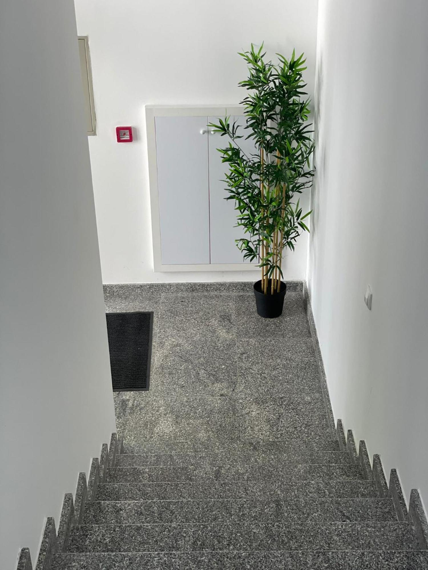 Morpheus Apartmani Sremska Mitrovica Dış mekan fotoğraf